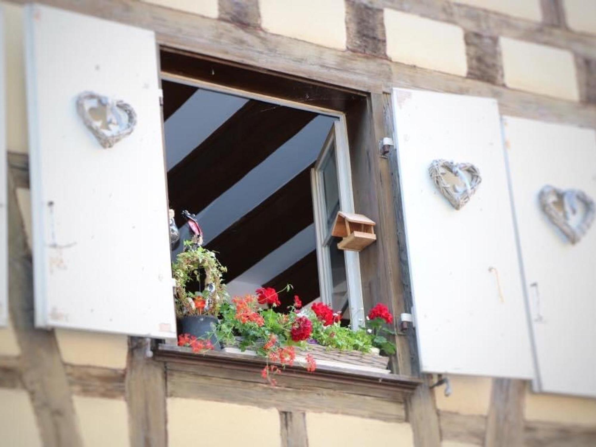 Charmant Appart Avec Garage Et Terrasse Au Coeur De Colmar, Pres De La Route Des Vins D'Alsace - Fr-1-722-6 Exterior photo